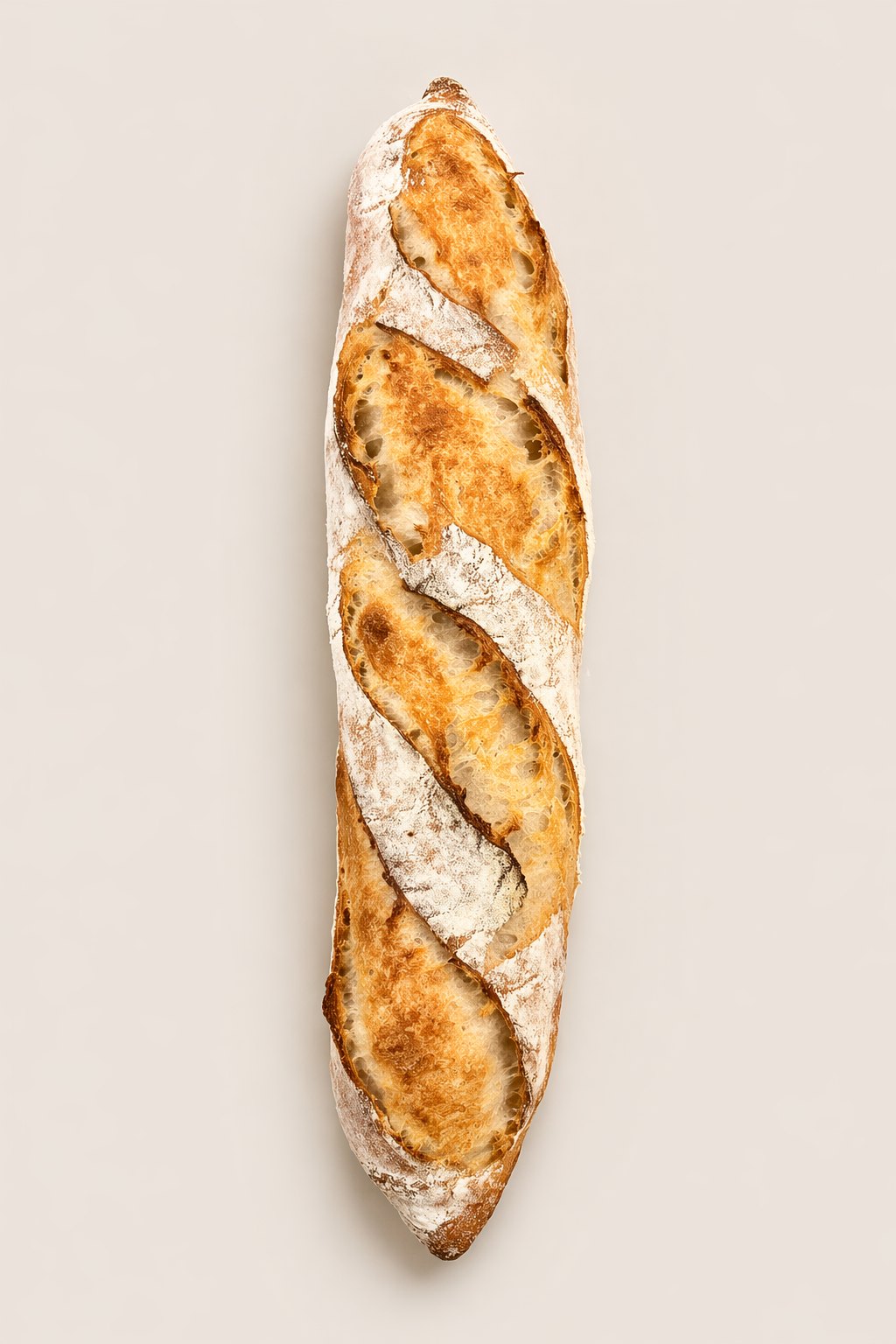 Lady the Baguette, photo 1 of 1